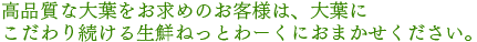 高品質な大葉をお求めのお客様は、大葉にこだわり続ける生鮮ねっとわーくにおまかせください。