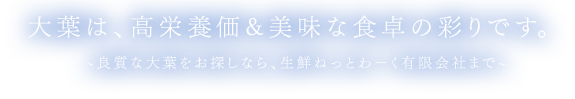 大葉は、高栄養価&美味な食卓の彩りです。 ~良質な大葉をお探しなら、生鮮ねっとわーく有限会社まで~